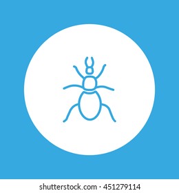 beetle, insect, icon