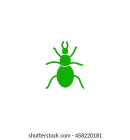 beetle, insect, icon