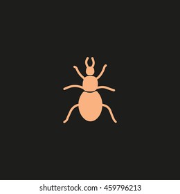 beetle, insect, icon