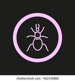 beetle, insect, icon