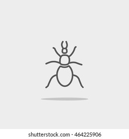 beetle, insect, icon