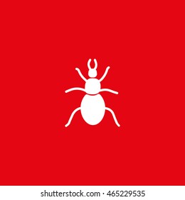 beetle, insect, icon