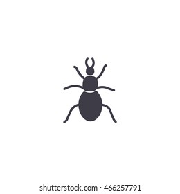 beetle, insect, icon