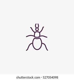 beetle, insect, icon