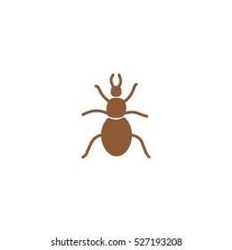 beetle, insect, icon