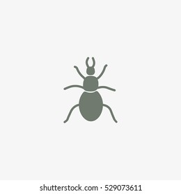 beetle, insect, icon