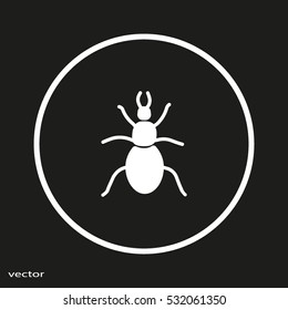 beetle, insect, icon