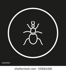 beetle, insect, icon