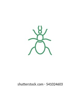 beetle, insect, icon