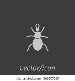 beetle, insect, icon