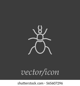 beetle, insect, icon