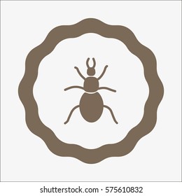 beetle, insect, icon