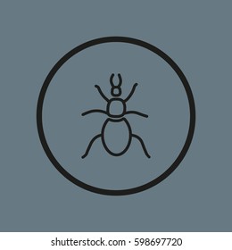 beetle, insect, icon