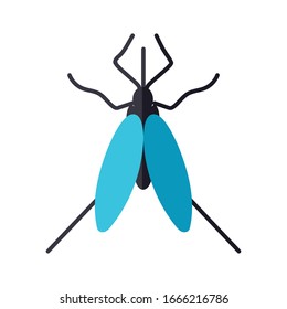 beetle insect icon over white background, flat style, vector illustration