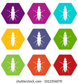 Beetle insect icon set many color hexahedron isolated on white vector illustration