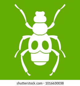 Beetle insect icon white isolated on green background. Vector illustration