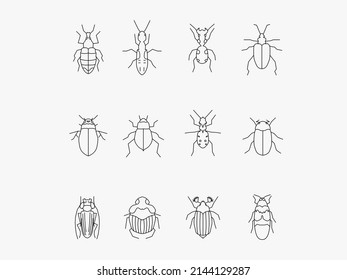 conjunto de iconos de arte de línea de insectos de escarabajo.ilustraciones de contorno vectorial aislado. Trazo editable