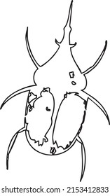 Beetle insect line art illustration