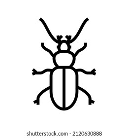 beetle insect line icon vector. beetle insect sign. isolated contour symbol black illustration