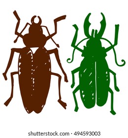 Beetle insect. Nature water beetle and zoology water beetle. Wildlife insect water black beetle ecology detail.