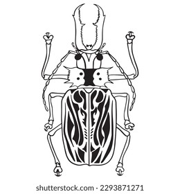Beetle insect outline art ,good for graphic design resources, posters, banners, templates, prints, coloring books and more.