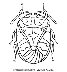 Beetle insect outline art ,good for graphic design resources, posters, banners, templates, prints, coloring books and more.