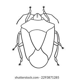 Beetle insect outline art ,good for graphic design resources, posters, banners, templates, prints, coloring books and more.