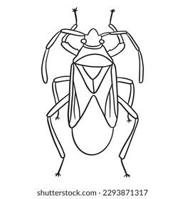 Beetle insect outline art ,good for graphic design resources, posters, banners, templates, prints, coloring books and more.