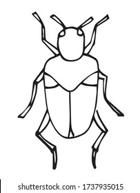 Beetle, insect outline vector, icon. Coloring book page. hand drawn doodle style, Isolated on white background.