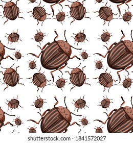 Beetle insect seamless background illustration