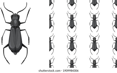 Beetle insect and seamless background illustration