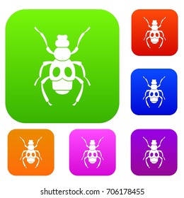 Beetle insect set icon in different colors isolated vector illustration. Premium collection