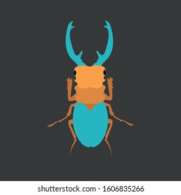 Beetle Insect Vector Logo Illustration