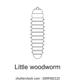 Beetle insect vector outline icon. Vector illustration bug insect on white background. Isolated outline illustration icon of beetle pest .