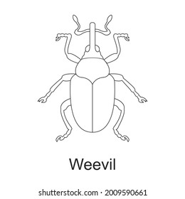 Beetle insect vector outline icon. Vector illustration bug insect on white background. Isolated outline illustration icon of beetle pest .