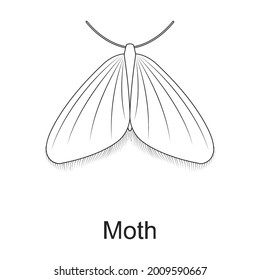 Beetle insect vector outline icon. Vector illustration bug insect on white background. Isolated outline illustration icon of beetle pest .