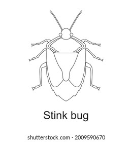 Beetle insect vector outline icon. Vector illustration bug insect on white background. Isolated outline illustration icon of beetle pest .