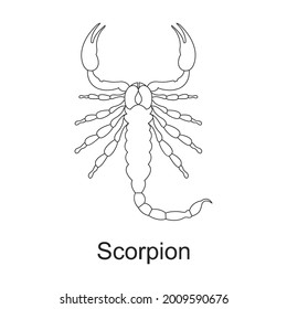 Beetle insect vector outline icon. Vector illustration bug insect on white background. Isolated outline illustration icon of beetle pest .