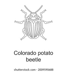 Beetle insect vector outline icon. Vector illustration bug insect on white background. Isolated outline illustration icon of beetle pest .