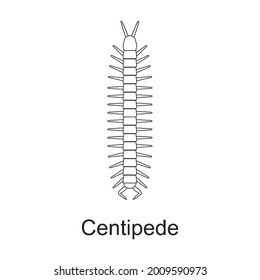 Beetle insect vector outline icon. Vector illustration bug insect on white background. Isolated outline illustration icon of beetle pest .