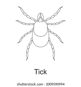Beetle insect vector outline icon. Vector illustration bug insect on white background. Isolated outline illustration icon of beetle pest .