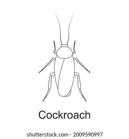 Beetle insect vector outline icon. Vector illustration bug insect on white background. Isolated outline illustration icon of beetle pest .
