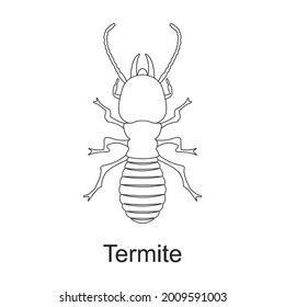 Beetle insect vector outline icon. Vector illustration bug insect on white background. Isolated outline illustration icon of beetle pest .
