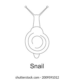 Beetle insect vector outline icon. Vector illustration bug insect on white background. Isolated outline illustration icon of beetle pest .