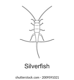Beetle insect vector outline icon. Vector illustration bug insect on white background. Isolated outline illustration icon of beetle pest .
