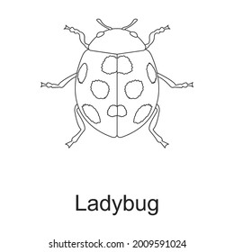 Beetle insect vector outline icon. Vector illustration bug insect on white background. Isolated outline illustration icon of beetle pest .