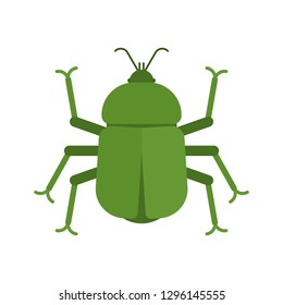 Beetle isolated. bug Insect on white background. vector illustration.