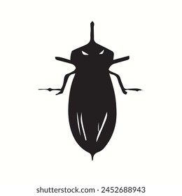beetle isolated on white vector