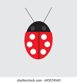 A beetle of a ladybug. Happy beetle. Creeping insect.