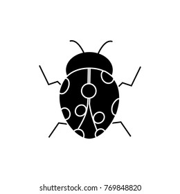 beetle ladybug insect bug icon image 